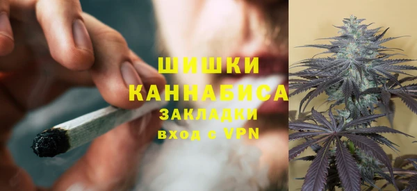 гашик Инсар