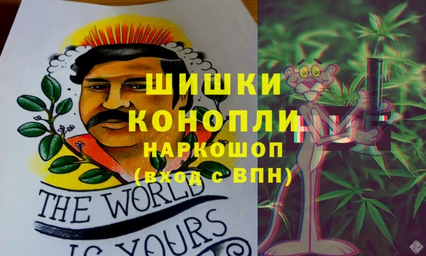 винт Инта