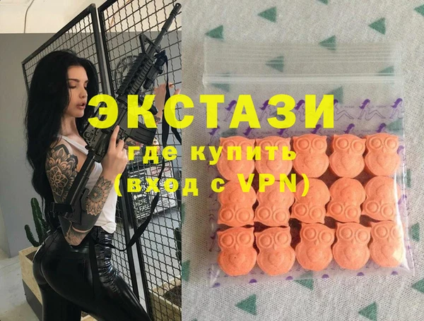 винт Инта