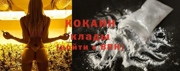 гашик Инсар