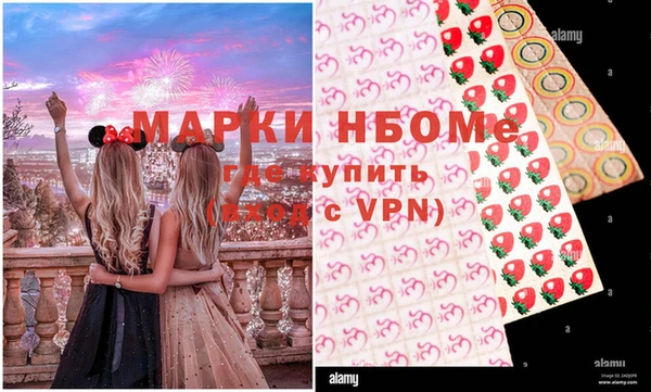 винт Инта