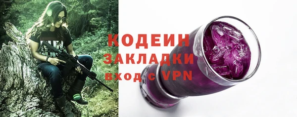 винт Инта