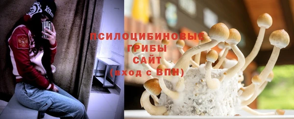 винт Инта