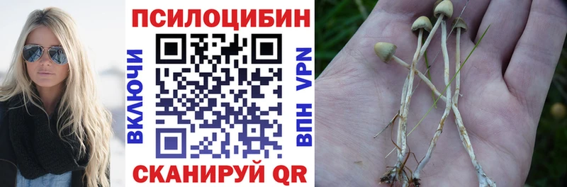 Псилоцибиновые грибы Psilocybe  цена наркотик  Чехов 